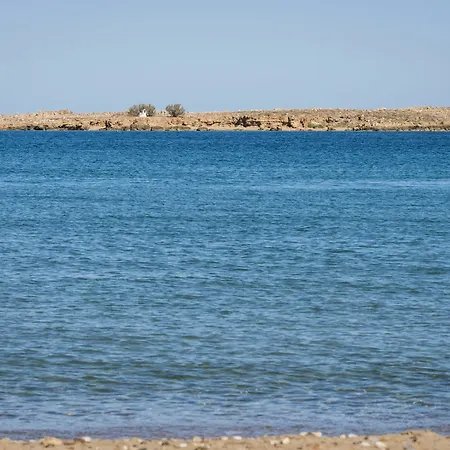 Sea & *